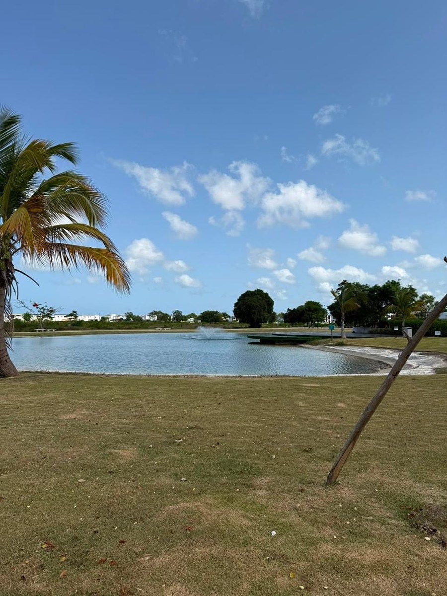 Apartamento en Vista Cana, Punta Cana, foto 6 de 9