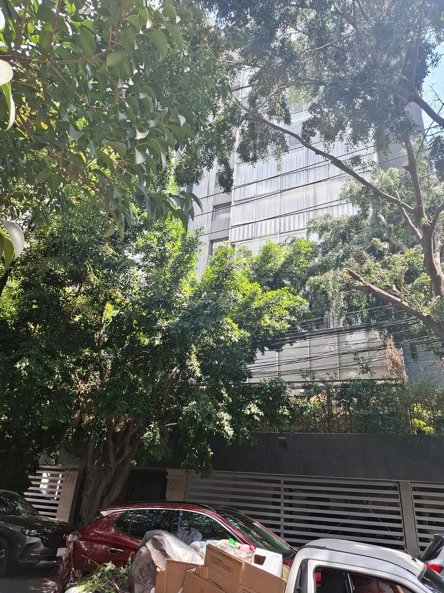 Apartamento em Del Valle Centro, Benito Juárez, foto 8 de 34