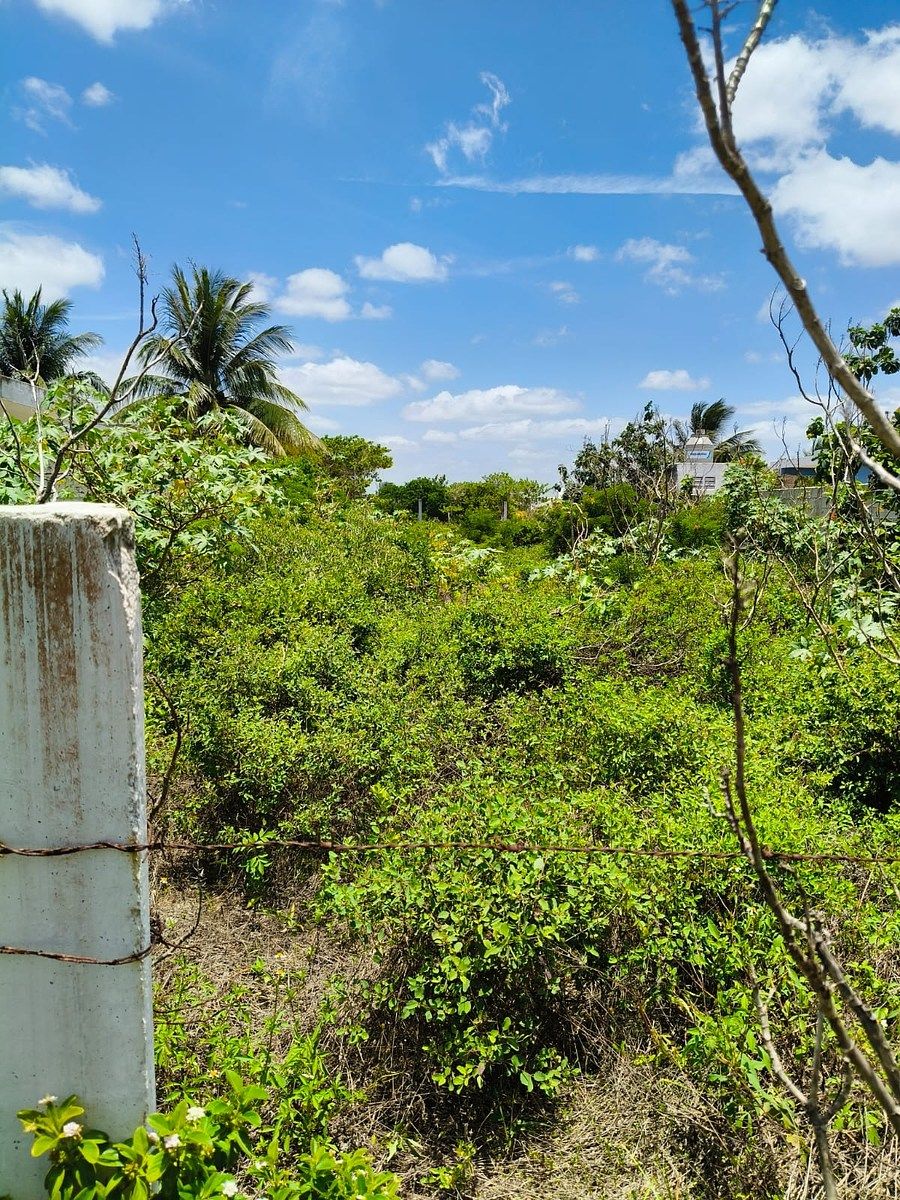 Terreno en Chuburna Puerto, Progreso, foto 3 de 7
