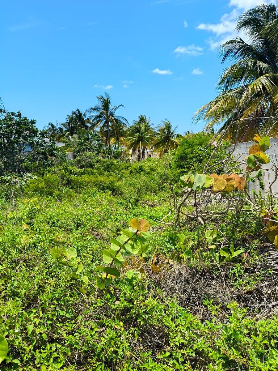 Terreno en Chuburna Puerto, Progreso, foto 4 de 7