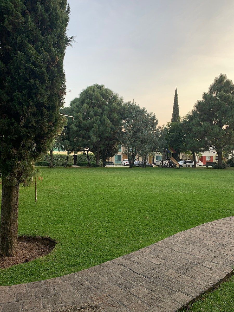 House in Gated Community in Jardín Real, Zapopan, photo 24 of 26