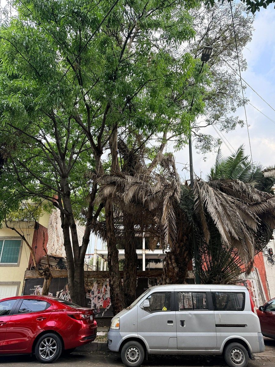 Terreno en Narvarte Poniente, Benito Juárez, foto 9 de 11