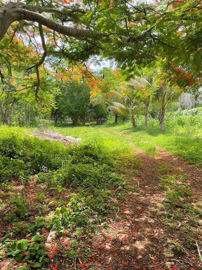 EN TAHMEK PRECIOSO RANCHO DE ENSUEÑO CON CASAS EQUIPADAS Y CABAÑAS PARA RENTAR., foto 1 de 7