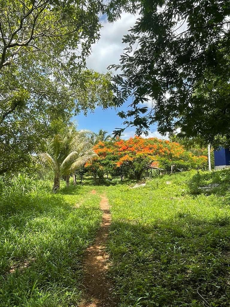 Rancho en Tahmek, Tahmek, foto 5 de 7