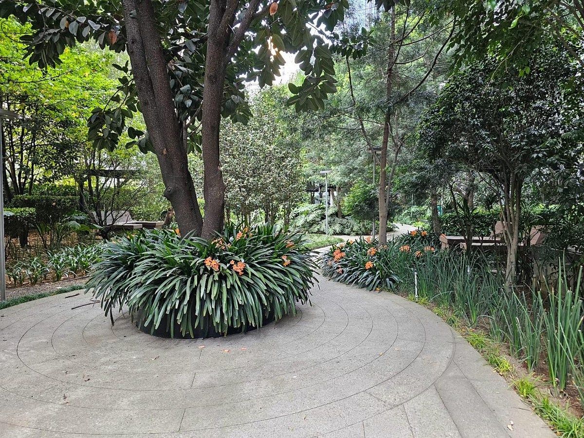 Apartamento em Santa Fe Cuajimalpa, Cuajimalpa de Morelos, foto 30 de 32