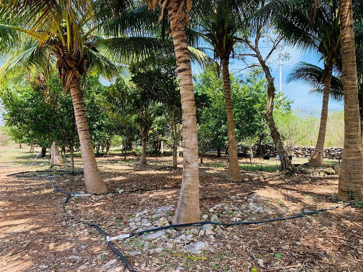 Fazenda em Yobain, Yobaín, foto 2 de 38