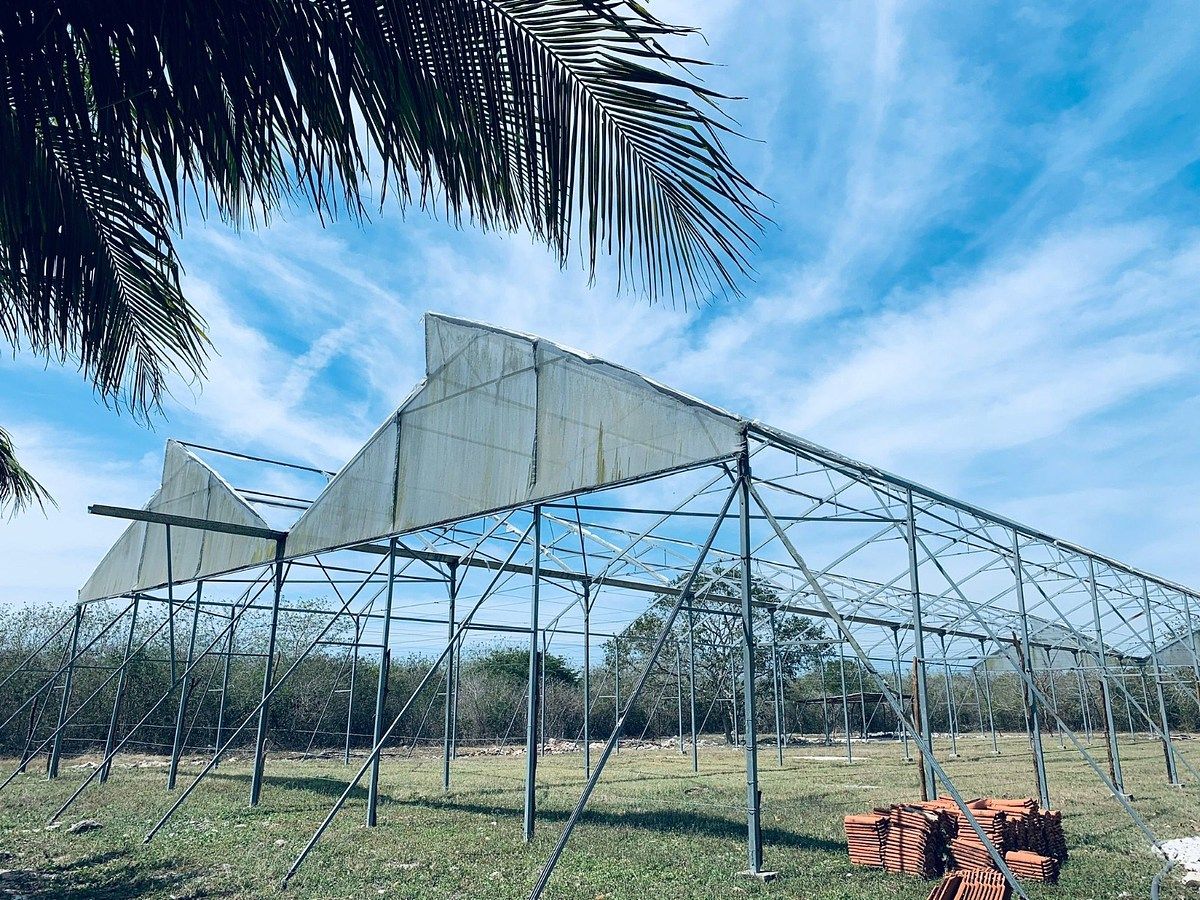 Fazenda em Yobain, Yobaín, foto 4 de 38