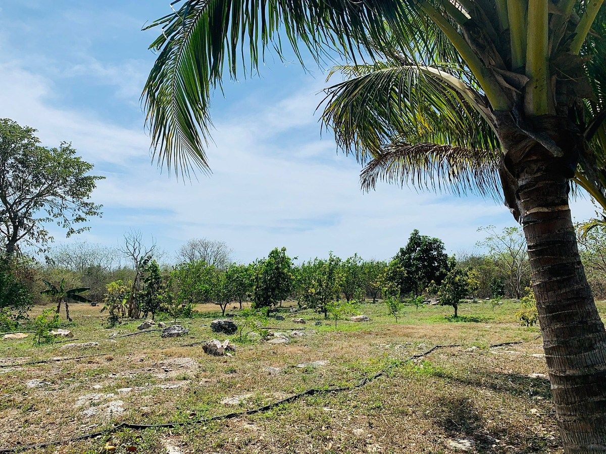 Fazenda em Yobain, Yobaín, foto 5 de 38