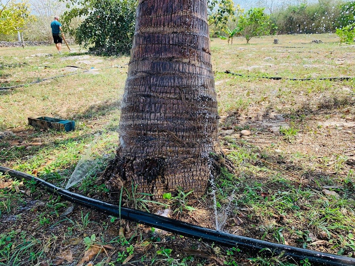 Fazenda em Yobain, Yobaín, foto 6 de 38