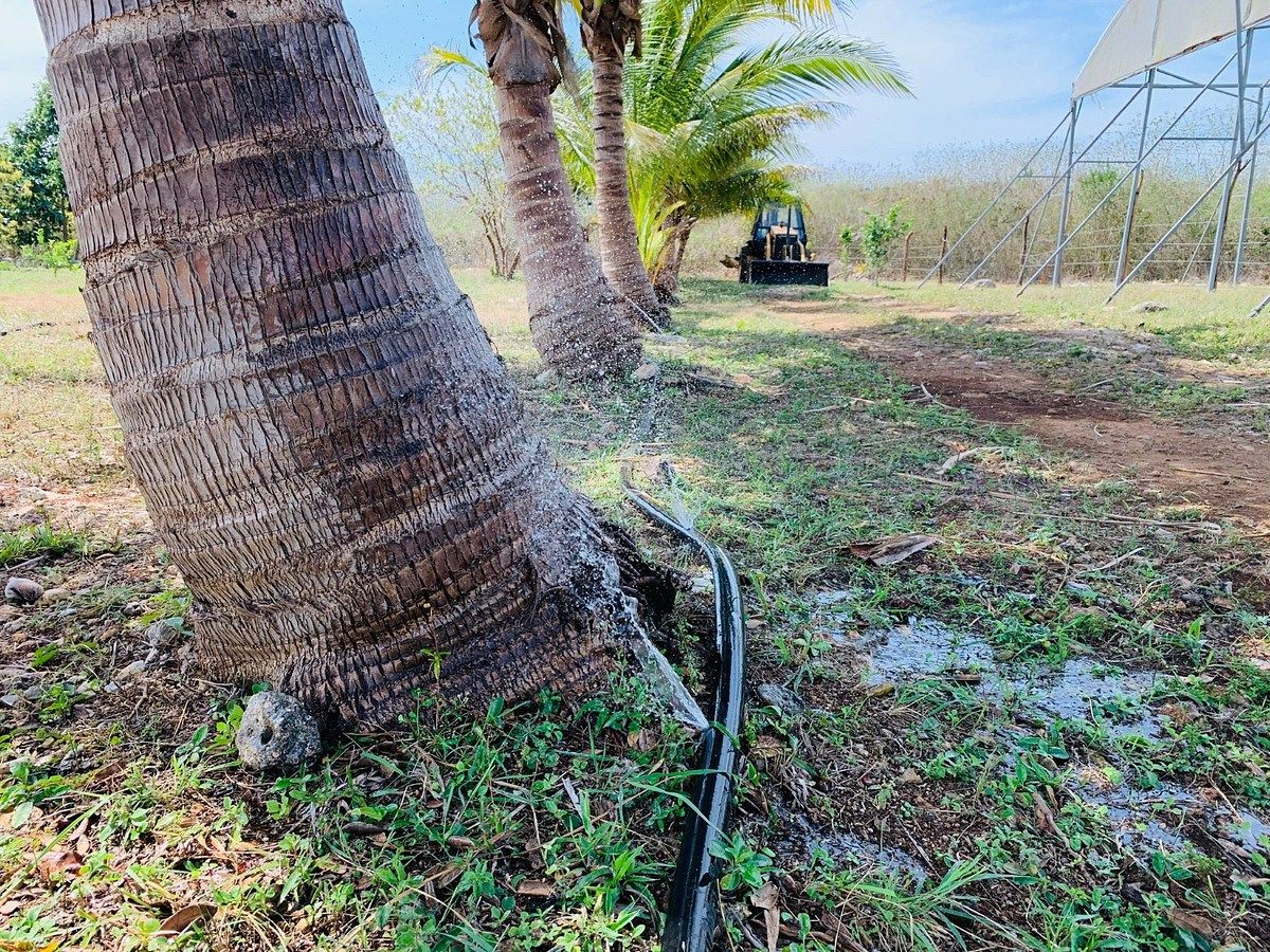 Fazenda em Yobain, Yobaín, foto 7 de 38