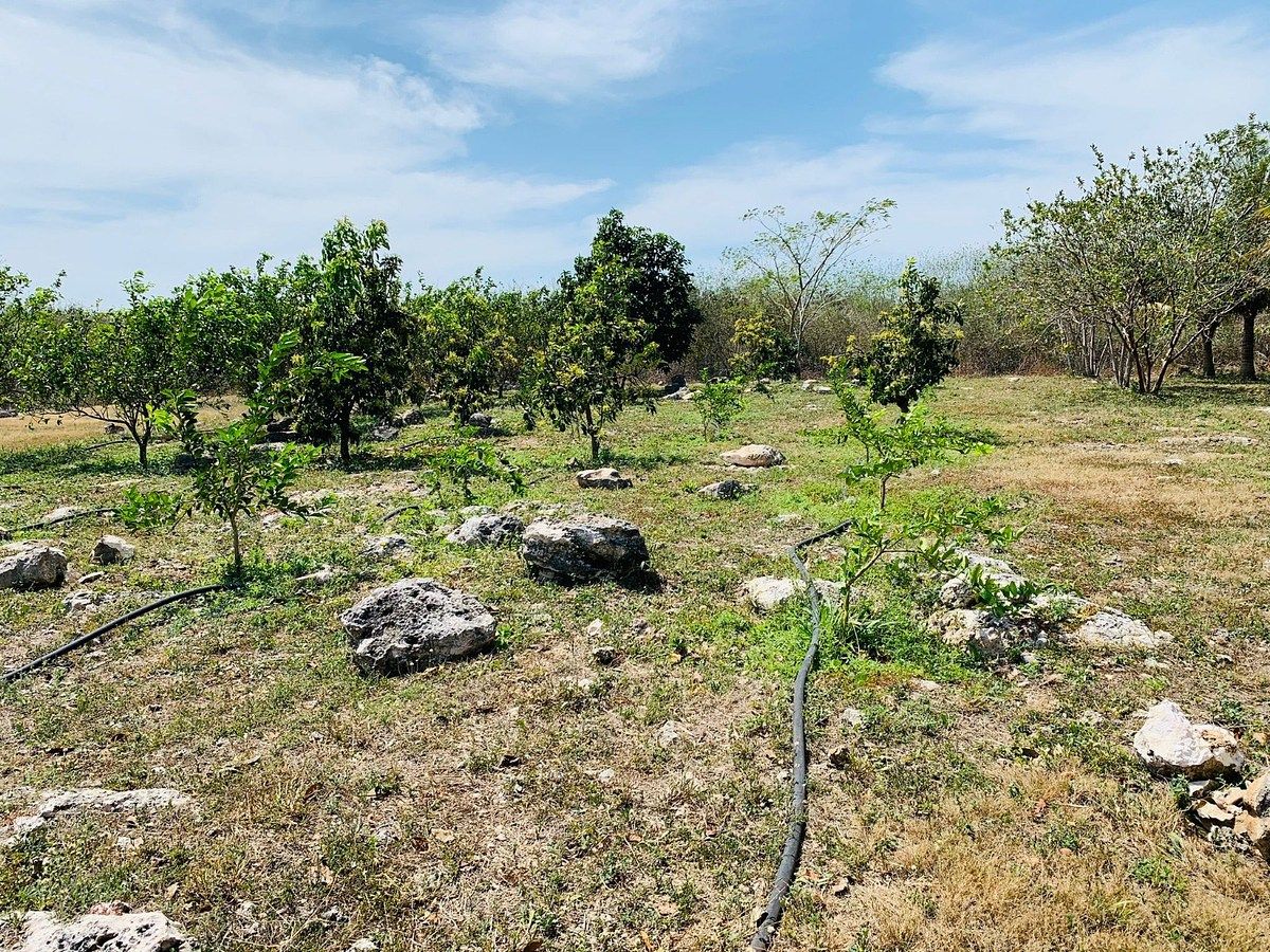 Fazenda em Yobain, Yobaín, foto 8 de 38