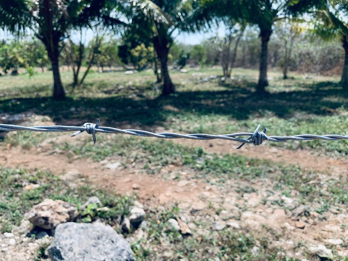 Fazenda em Yobain, Yobaín, foto 10 de 38