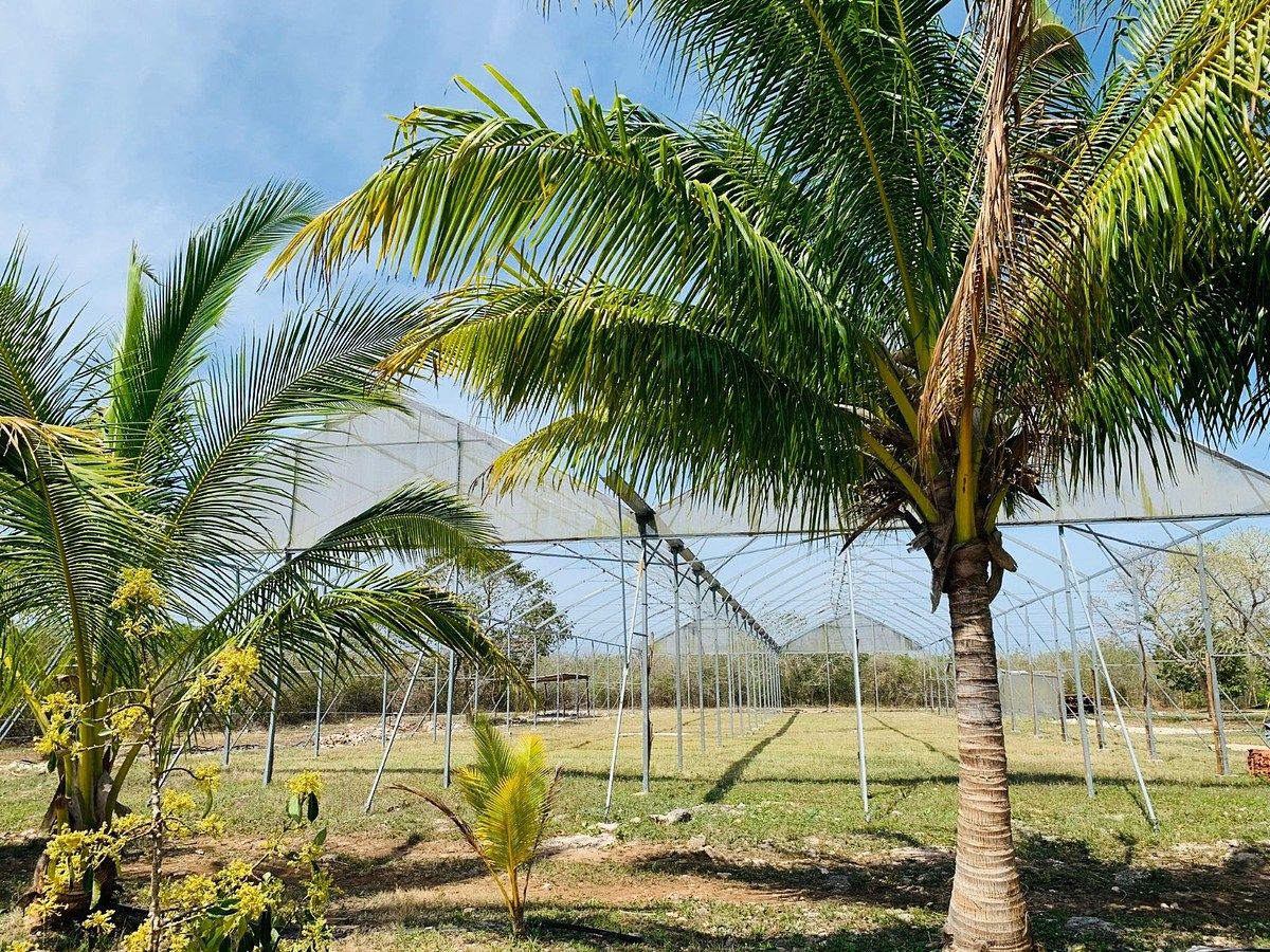 Rancho en Yobain, Yobaín, foto 11 de 38
