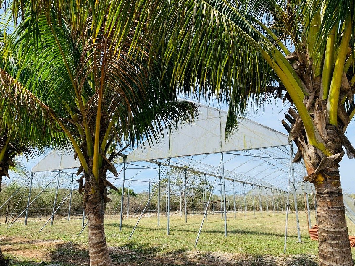 Rancho en Yobain, Yobaín, foto 14 de 38