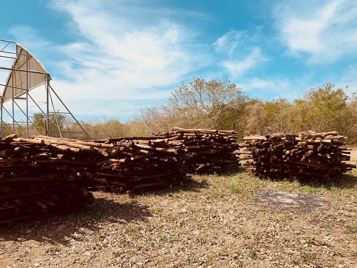 Rancho en Yobain, Yobaín, foto 19 de 38