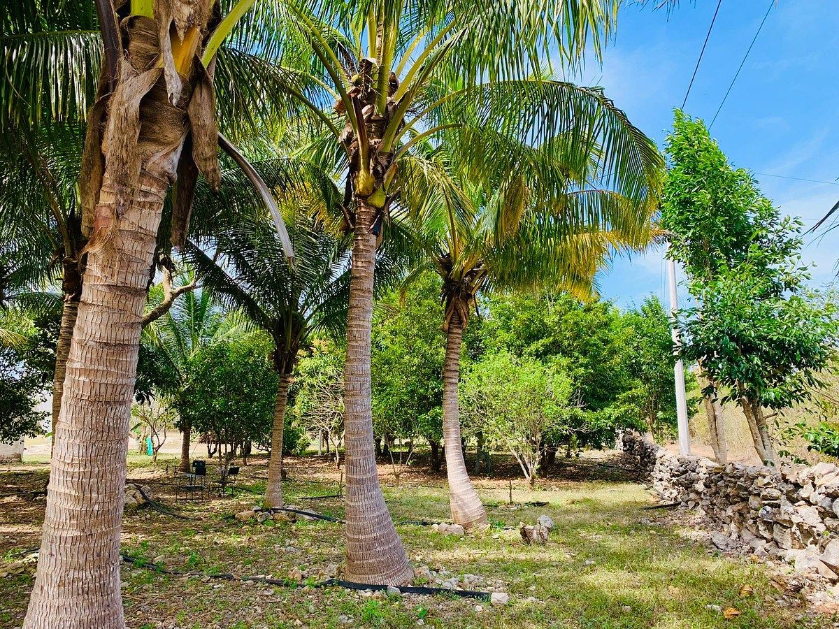 Rancho en Yobain, Yobaín, foto 31 de 38