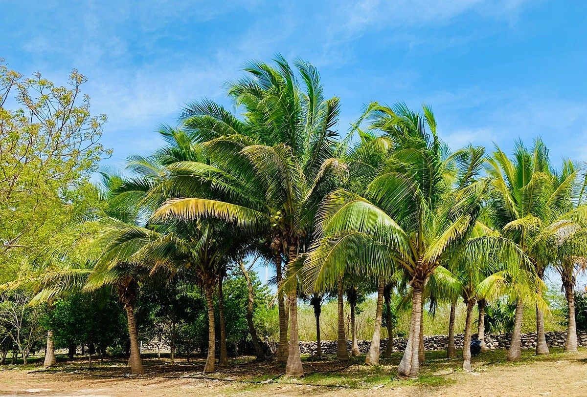 Rancho en Yobain, Yobaín, foto 32 de 38