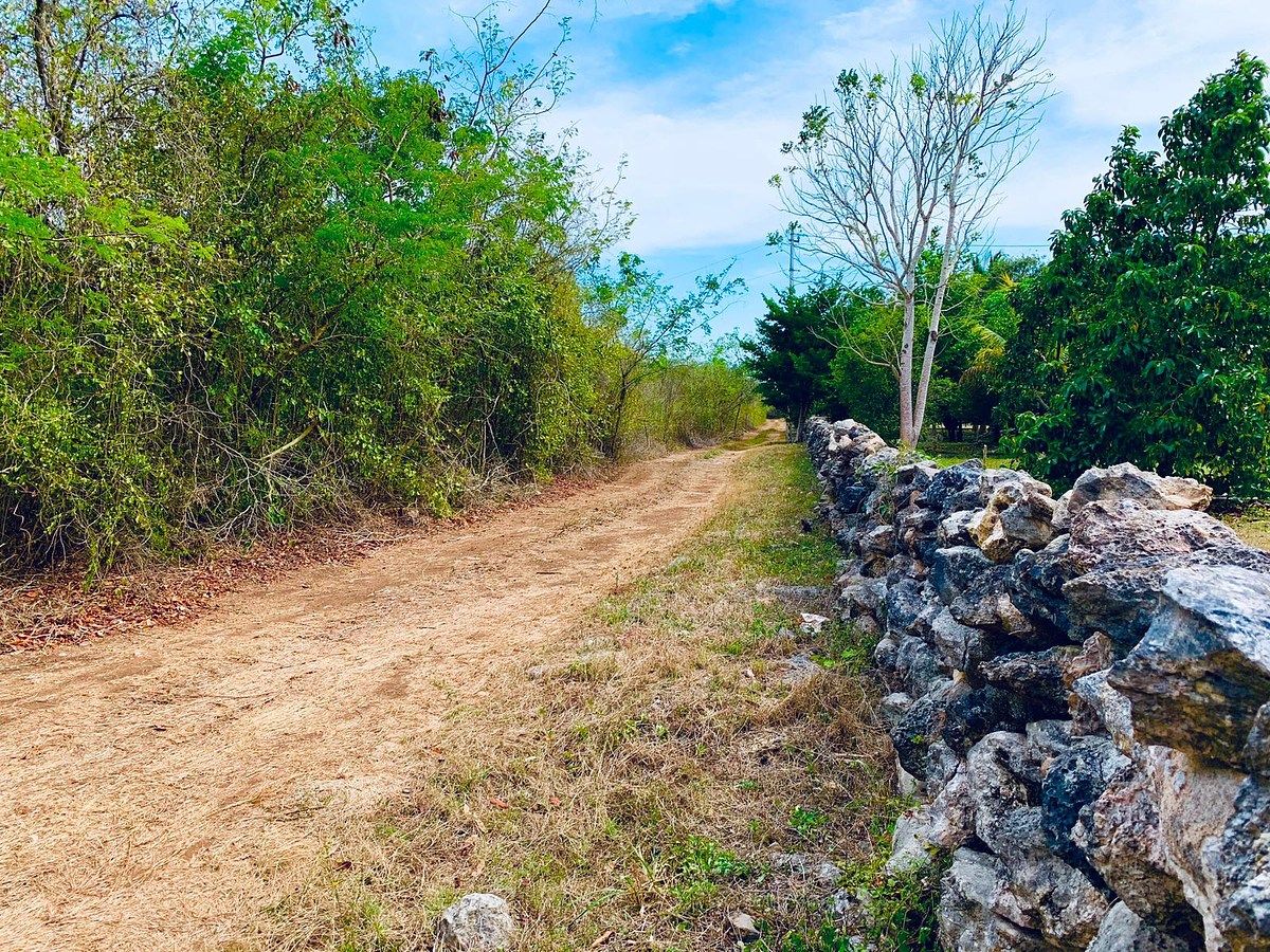 Rancho en Yobain, Yobaín, foto 35 de 38