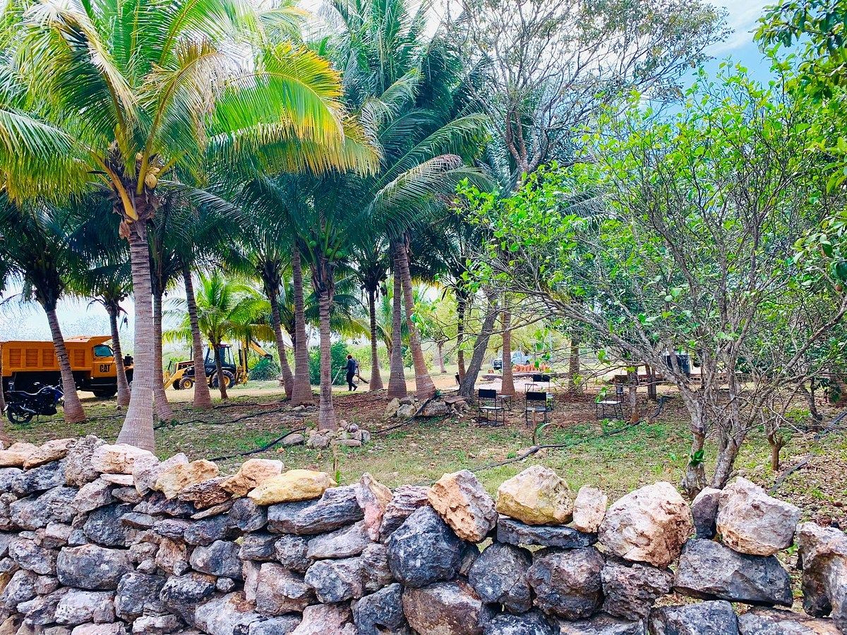 Rancho en Yobain, Yobaín, foto 37 de 38