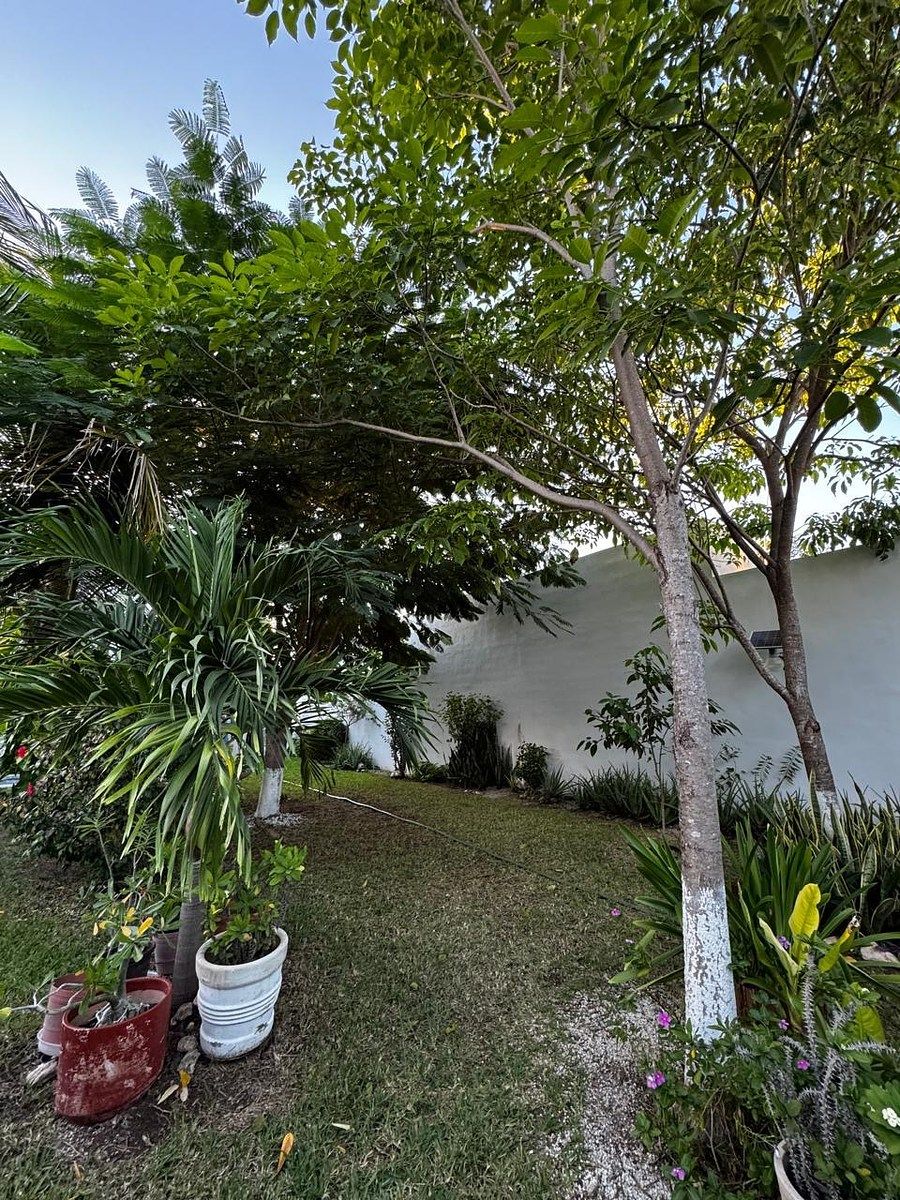 Casa em Dzityá, Mérida, foto 15 de 16