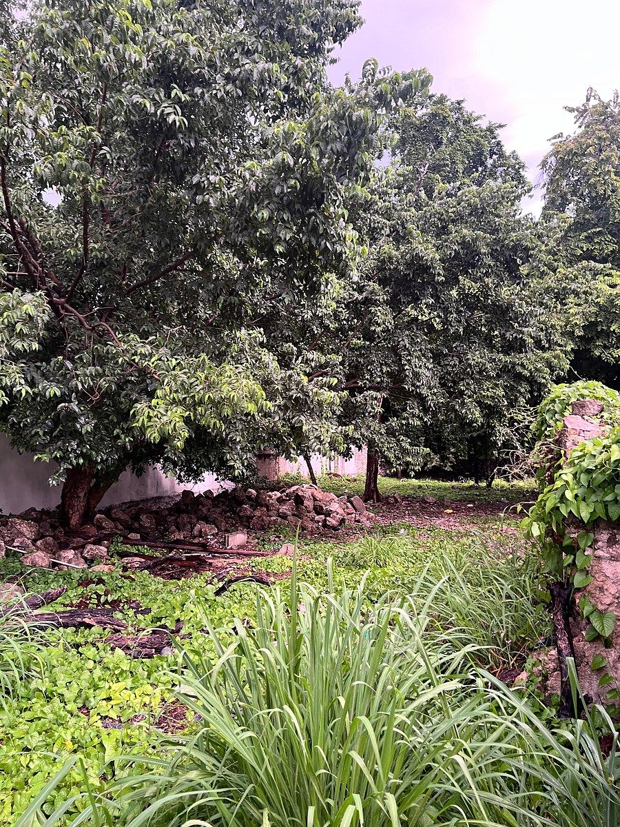 Terreno en Itzimna, Mérida, foto 4 de 11