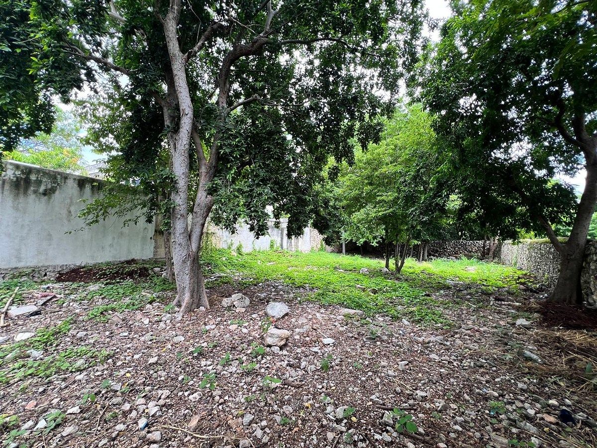 Terreno Dentro de la Ciudad en Venta en Itzimna Merida Yucatan, foto 1 de 11
