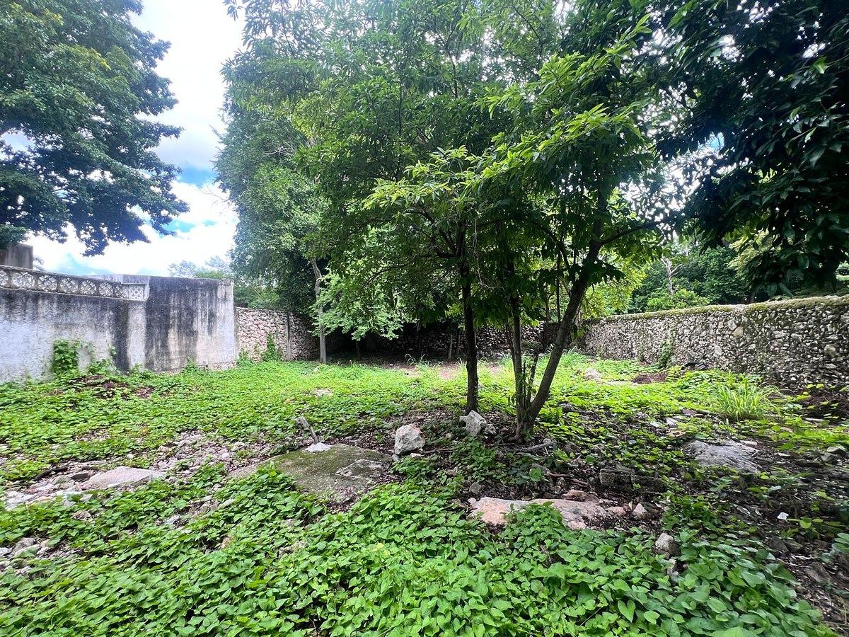 Terreno en Itzimna, Mérida, foto 8 de 11