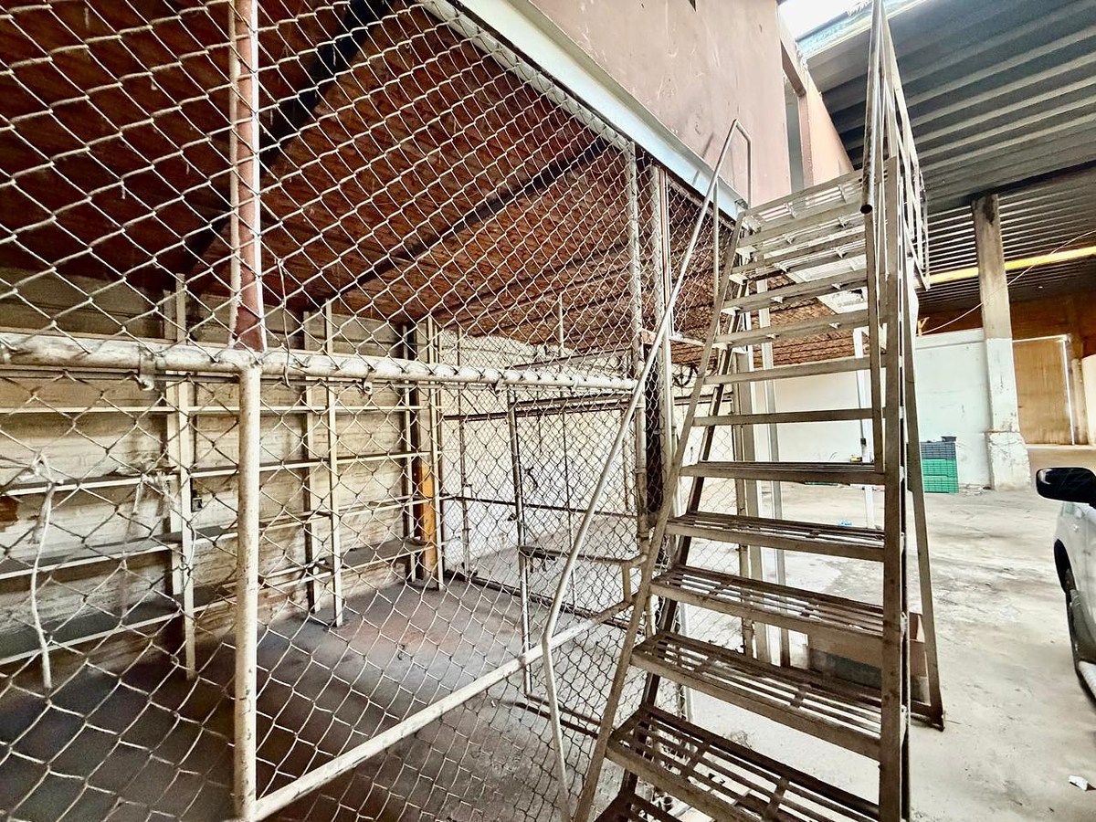 Bodega comercial en Nuevo México, Zapopan, foto 16 de 27