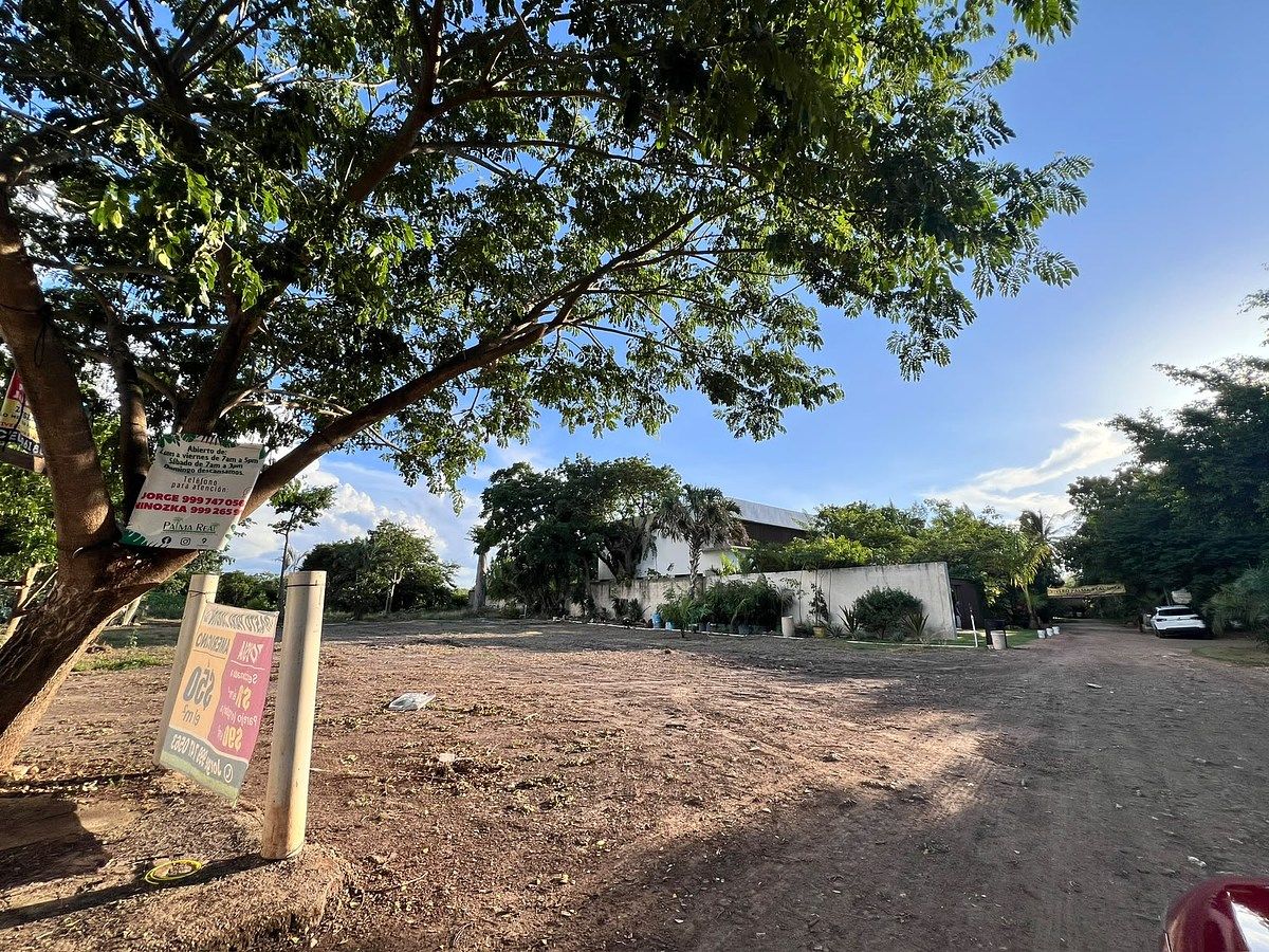 Lote em Temozón Norte, Mérida, foto 7 de 11