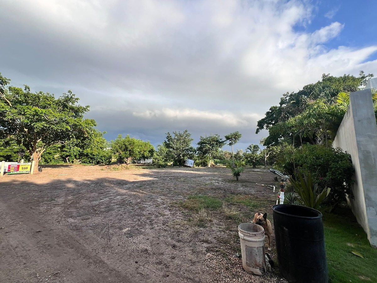 Lote em Temozón Norte, Mérida, foto 9 de 11