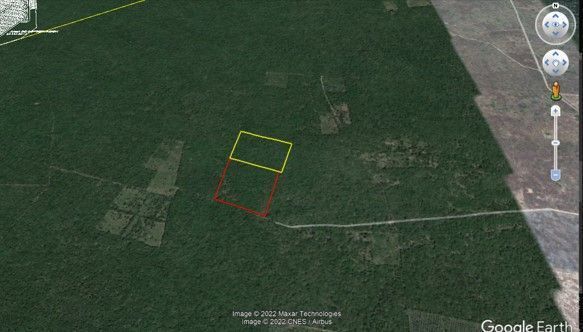 TERRENO MACROLOTE EN VENTA YUCATAN RUSTICO PARA INVERSION EN SINANCHE - foto 3