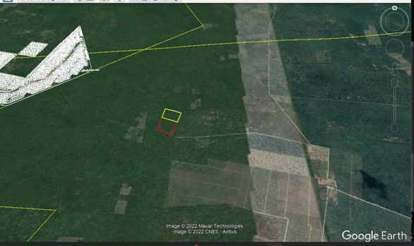 TERRENO MACROLOTE EN VENTA YUCATAN RUSTICO PARA INVERSION EN SINANCHE - foto 4