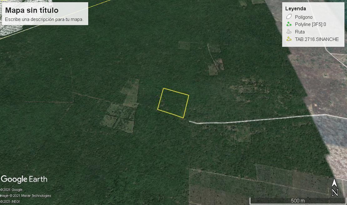 TERRENO MACROLOTE EN VENTA YUCATAN RUSTICO PARA INVERSION EN SINANCHE - foto 5