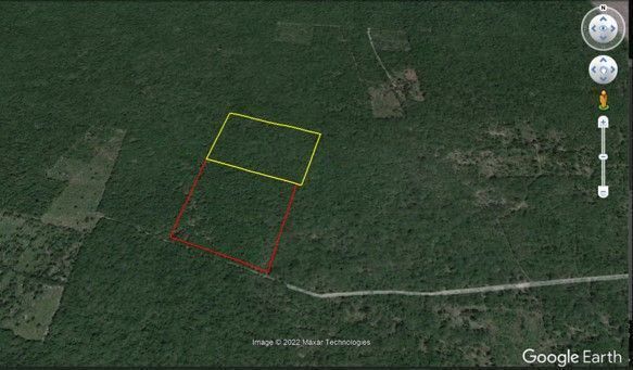 TERRENO MACROLOTE EN VENTA YUCATAN RUSTICO PARA INVERSION EN SINANCHE - foto 2