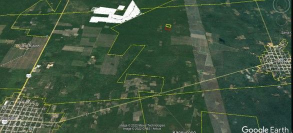 TERRENO MACROLOTE EN VENTA YUCATAN RUSTICO PARA INVERSION EN SINANCHE - foto 1