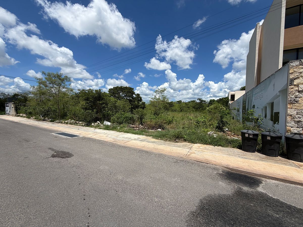 Terreno en Temozón Norte, Mérida, foto 8 de 8