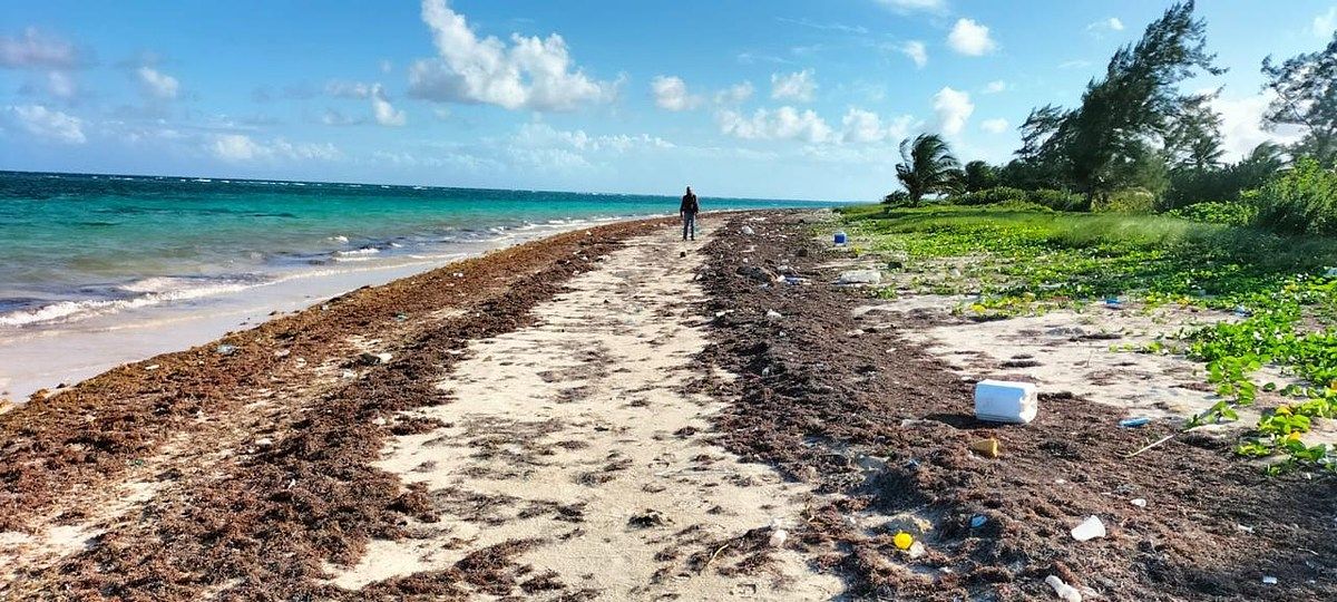 Lote em Mahahual, Othón P. Blanco, foto 3 de 4