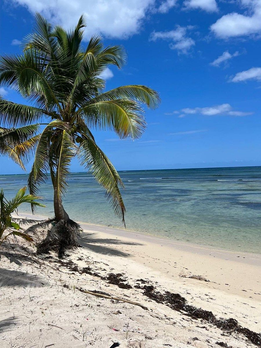 Lote em Mahahual, Othón P. Blanco, foto 4 de 4