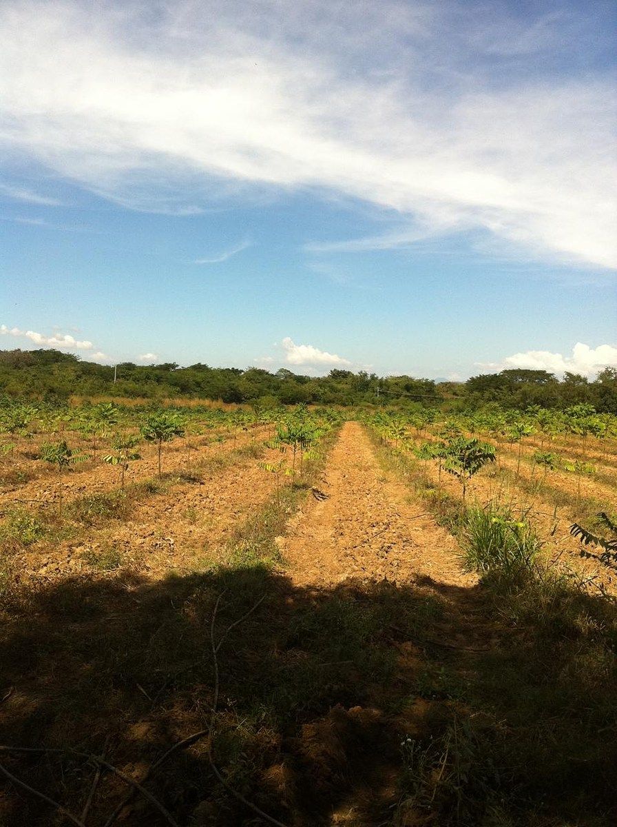 Rancho en América Libre, Chiapa de Corzo, foto 2 de 4