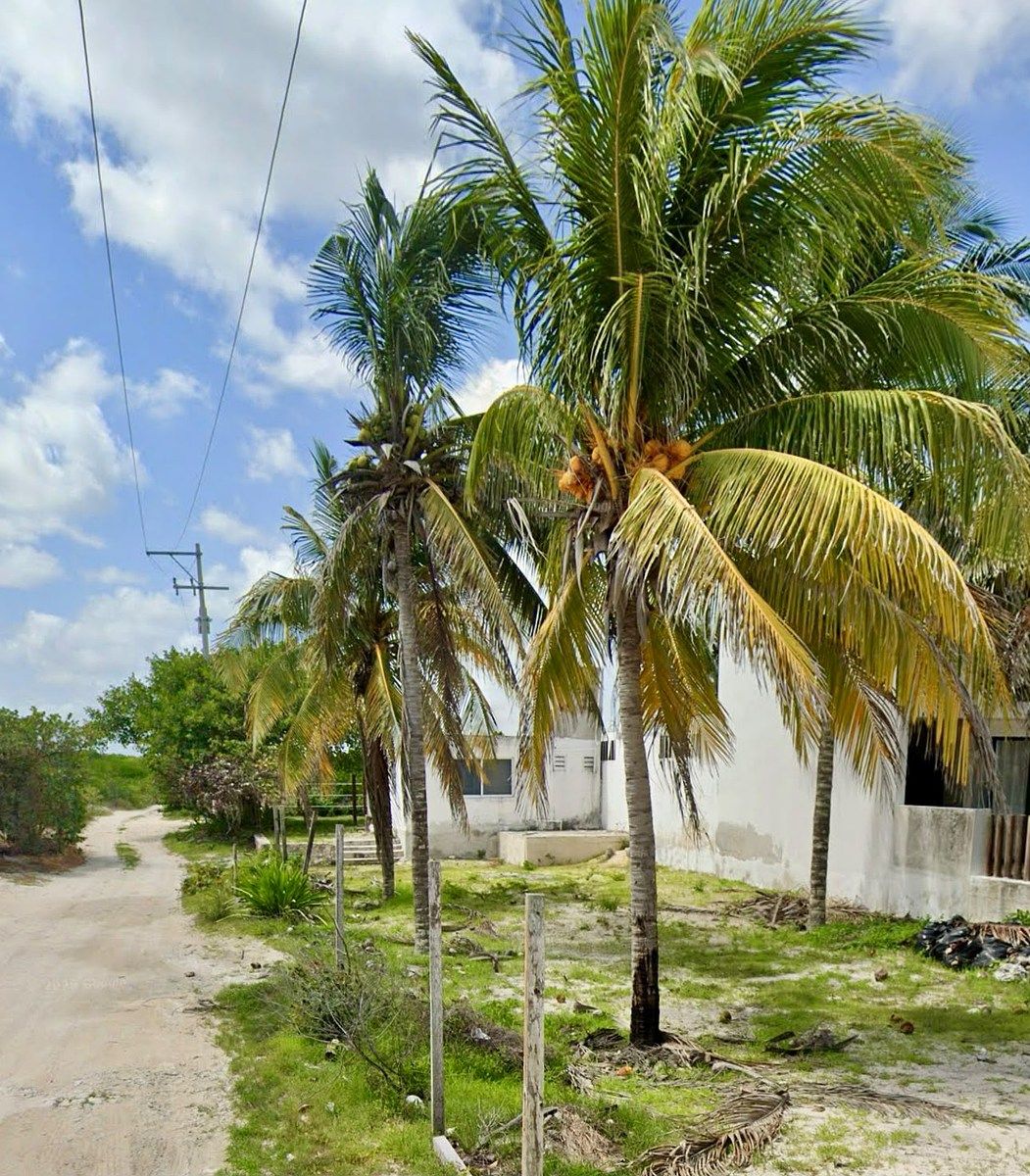 Lote em San Benito, Dzemul, foto 4 de 8
