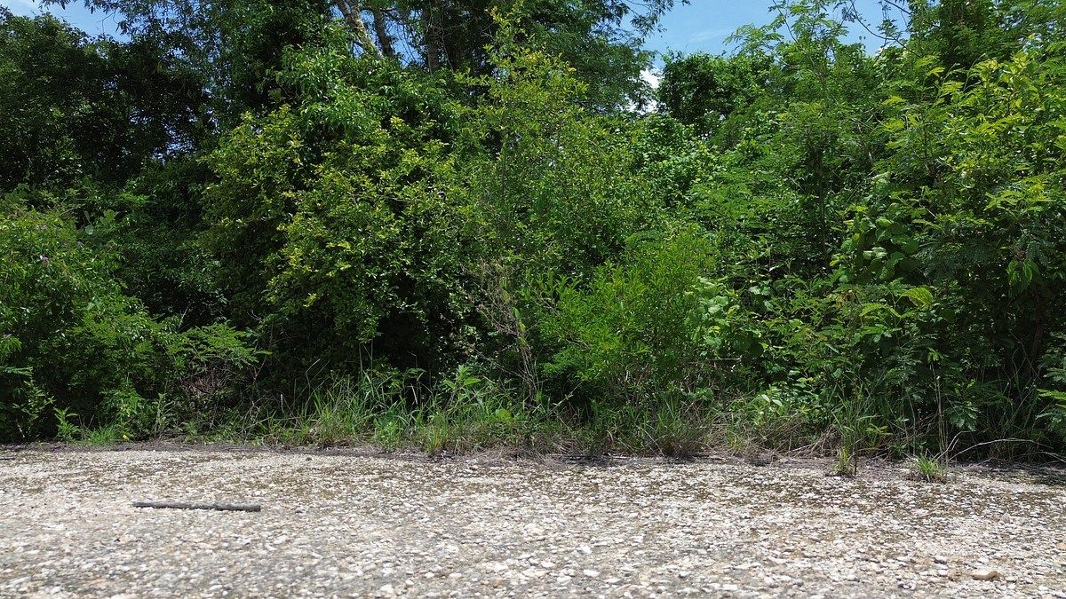 Lote em Dzidzilché, Mérida, foto 3 de 10