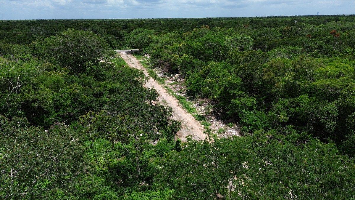 Lote em Dzidzilché, Mérida, foto 6 de 10