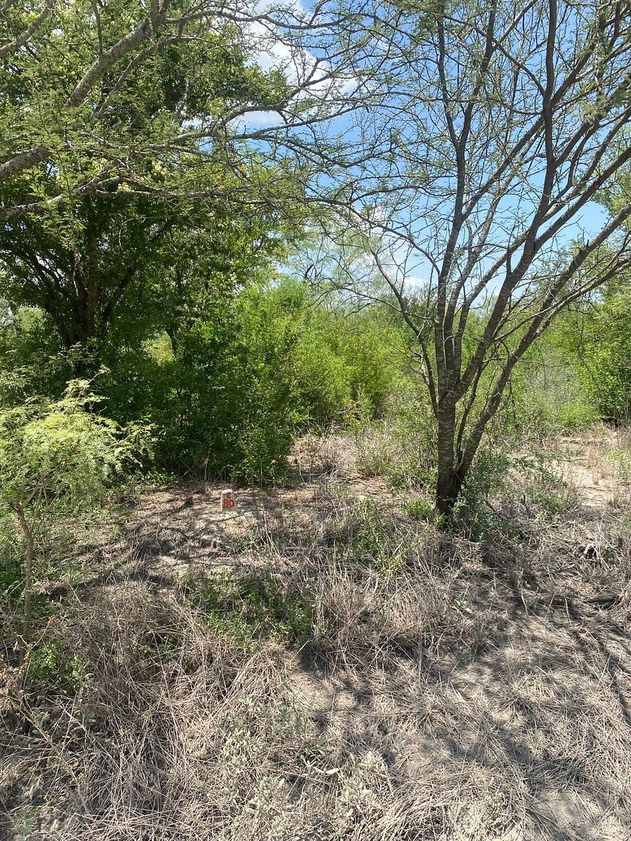 Lot in Los Ramones, Los Ramones, photo 5 of 5