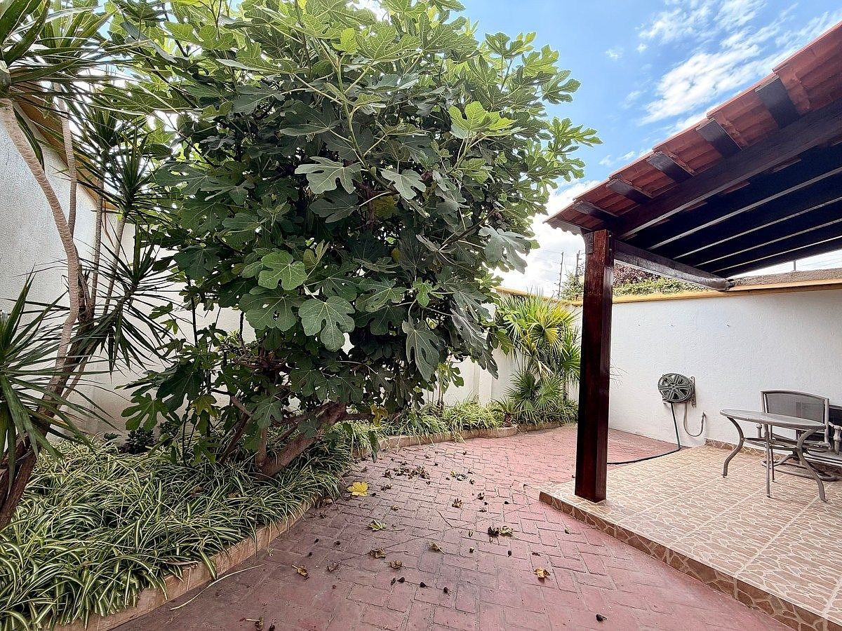 TERRAZA, photo 42 of 43