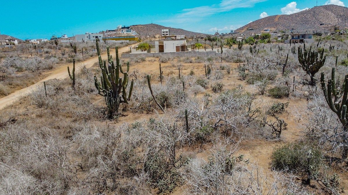 Terreno em Cerritos, Pescadero BCS, foto 1 de 6