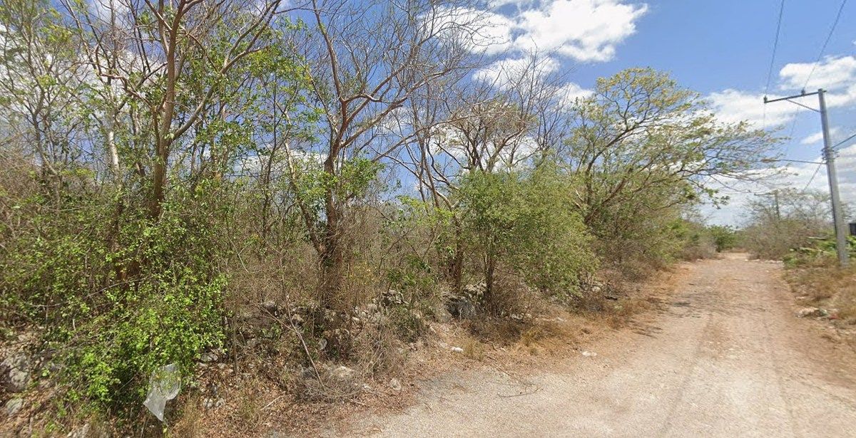 SPACIOUS LAND IN DZUNUNCAN, MERIDA COMISARIA, photo 1 of 13