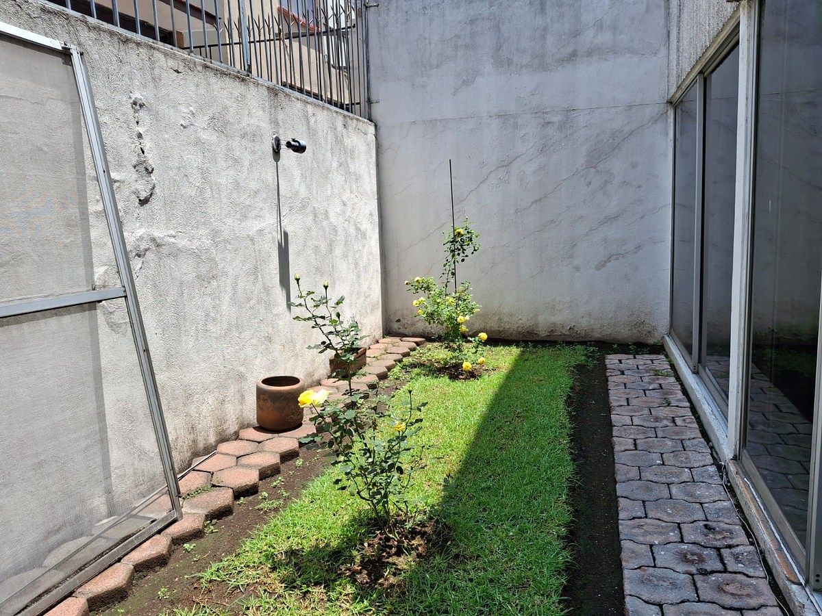 Patio, foto 6 de 19