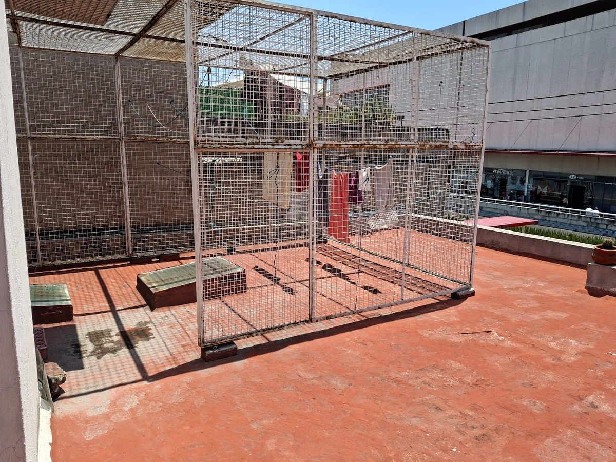zona de tendido, foto 19 de 19