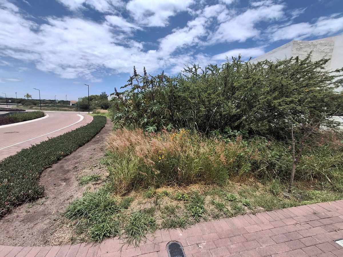 Terreno en Ciudad Maderas Residencial Querétaro, El Marqués, foto 7 de 23