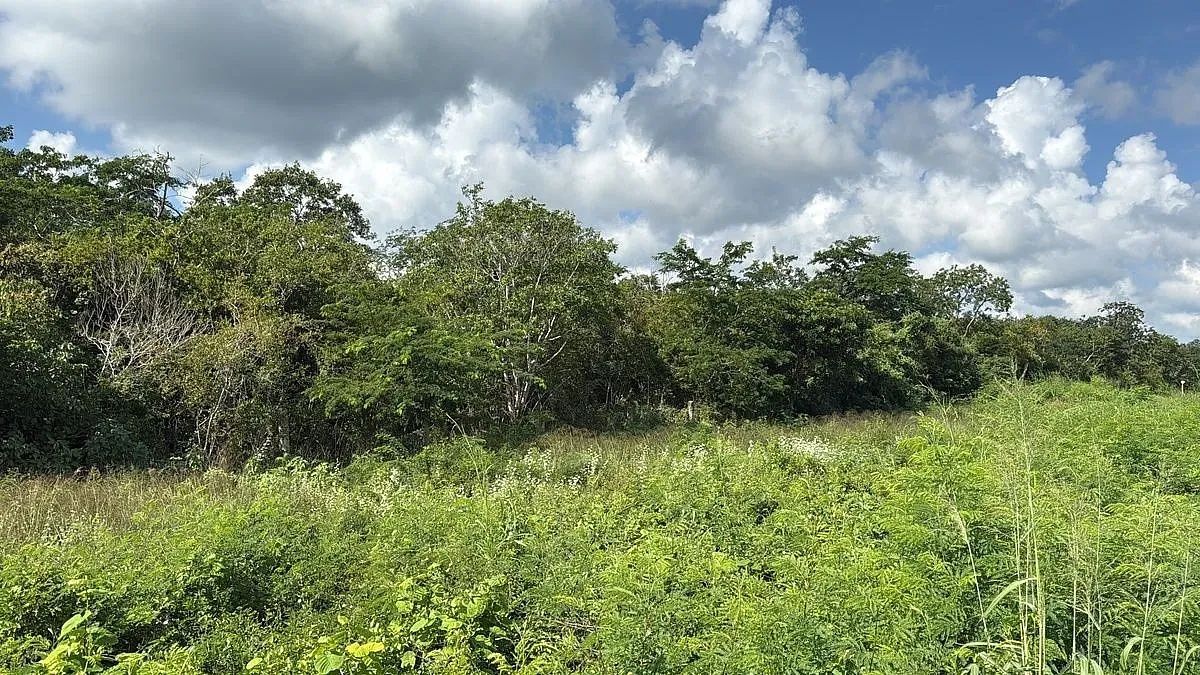 Lote em Tetiz, Mérida, foto 2 de 6